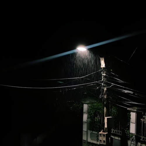 Under the Rainlight