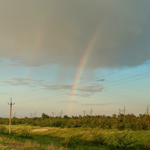 Photo #14070345