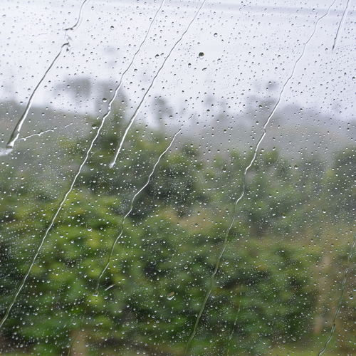 Photo #14070512