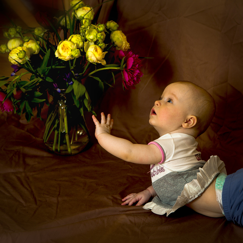 Photo #14070531