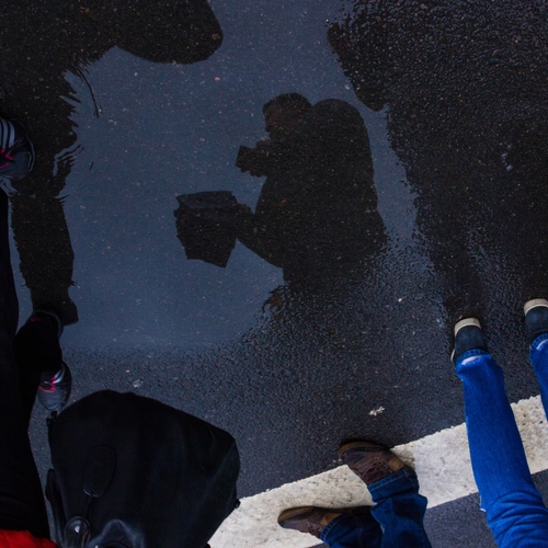 Photo #14070536