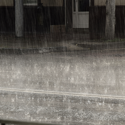 Photo #14070606