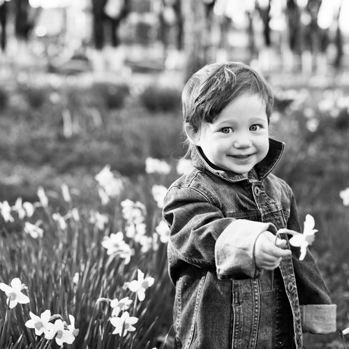 Photo #14070622
