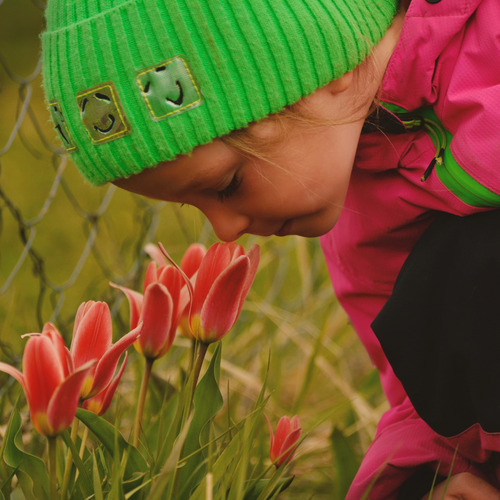Photo #14070691