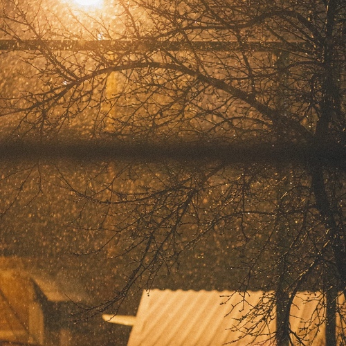 Photo #14070757