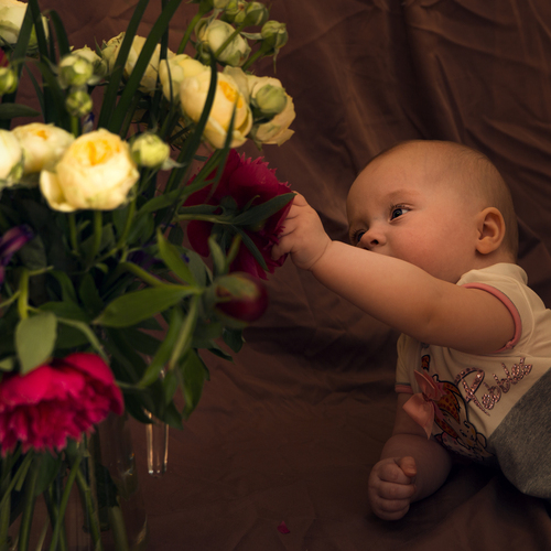 Photo #14070848