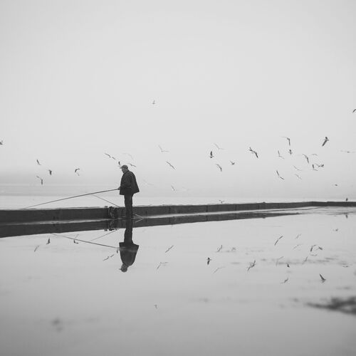 Photo #14070903