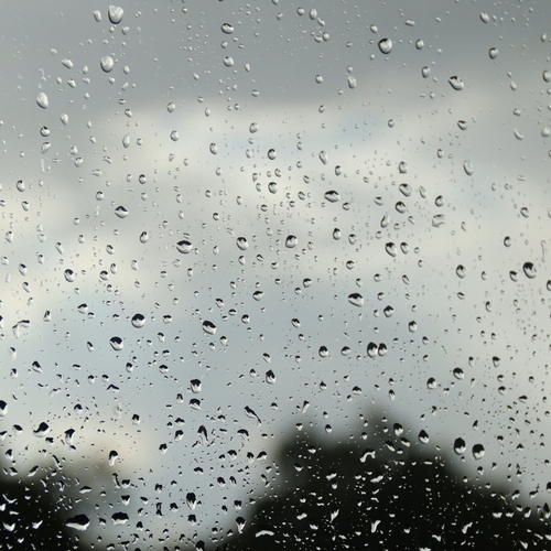 Photo #14070991