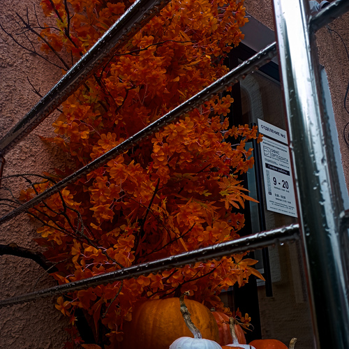 Photo #14071202