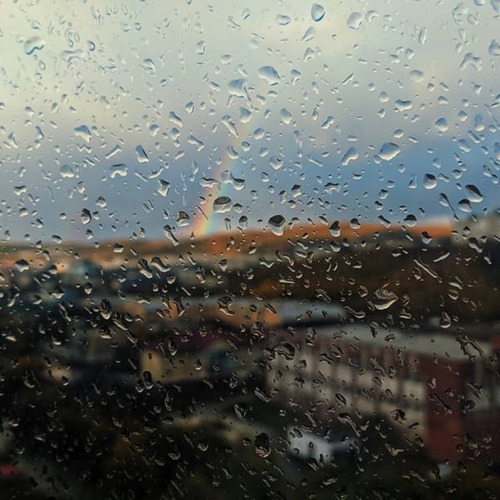 Photo #14071306