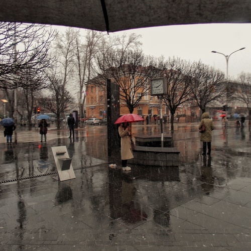 Photo #14071420