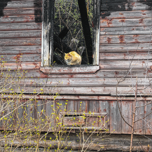 Photo #14071564