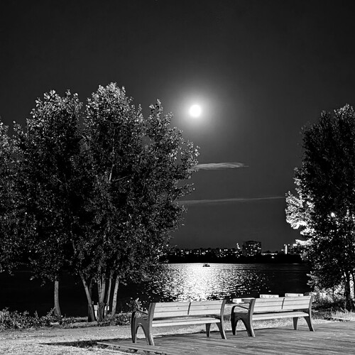Photo #14071817