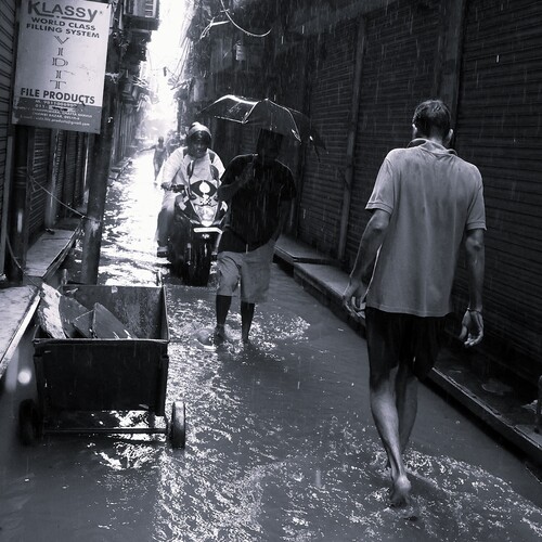 Photo #14071949