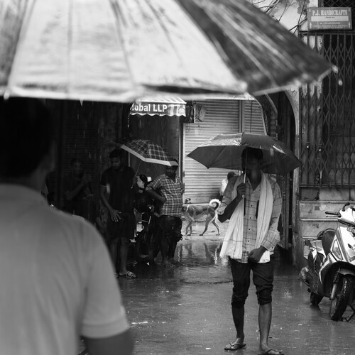 Photo #14071953