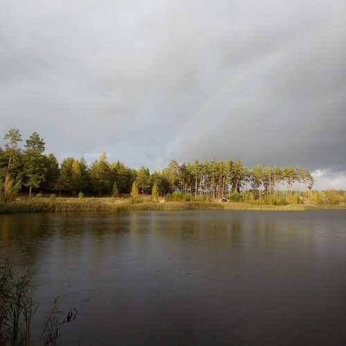 Photo #14072080
