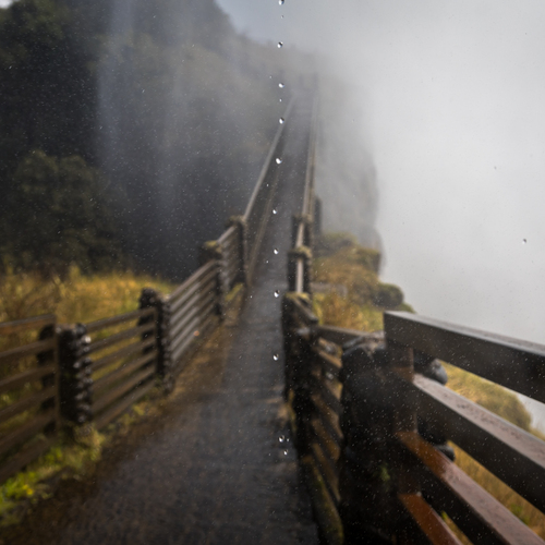 Photo #14072093