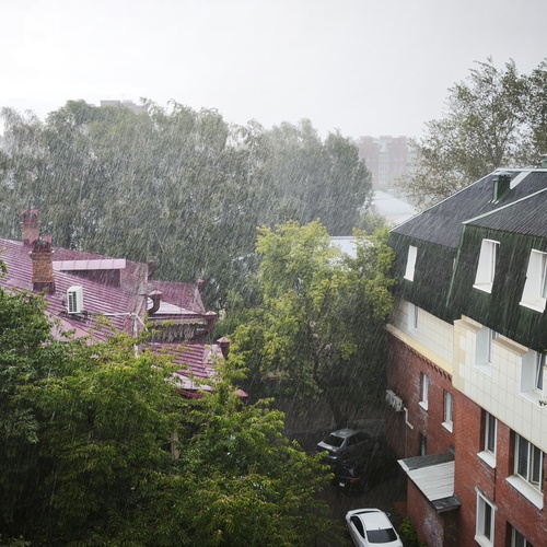 Photo #14072209