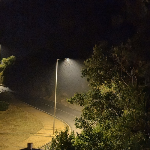 Photo #14072222