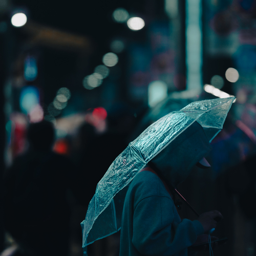 Photo #14072236