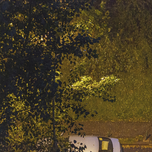 Photo #14072319