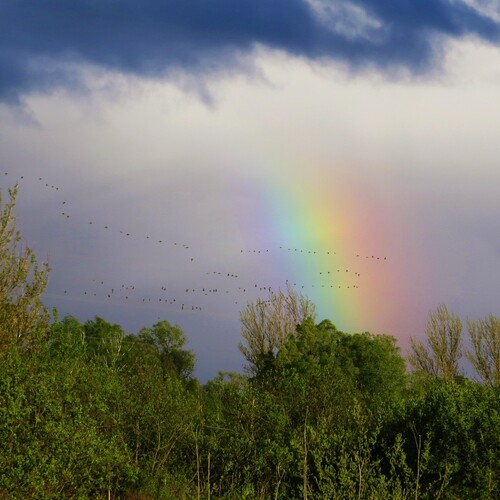 Photo #14072392