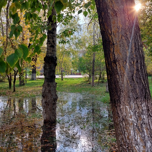 Photo #14072485