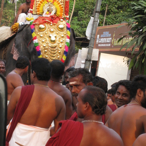 Photo #14072569