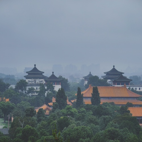 Photo #14072594