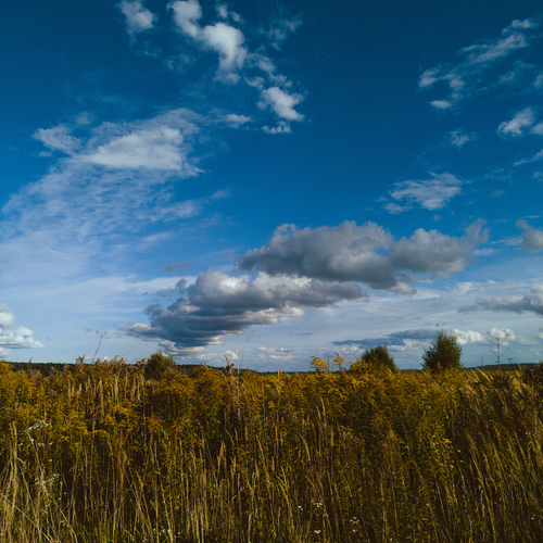 Photo #14072609