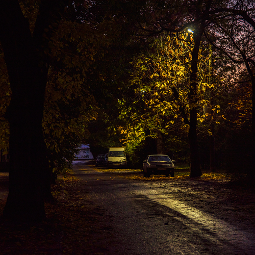Photo #14072618