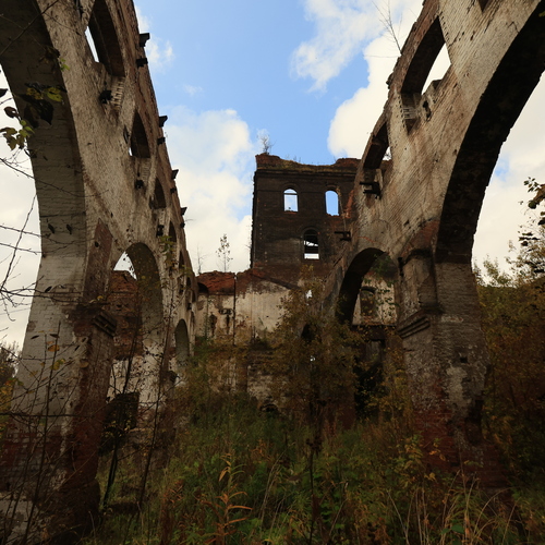 Photo #14072631