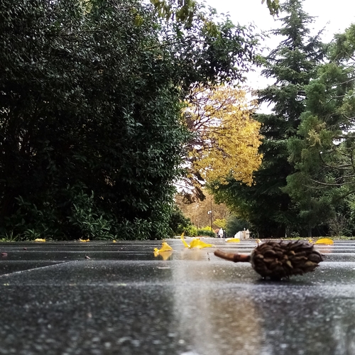 Photo #14072634
