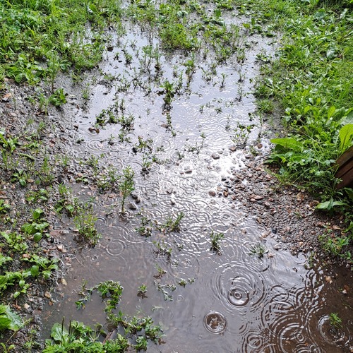 Photo #14072637