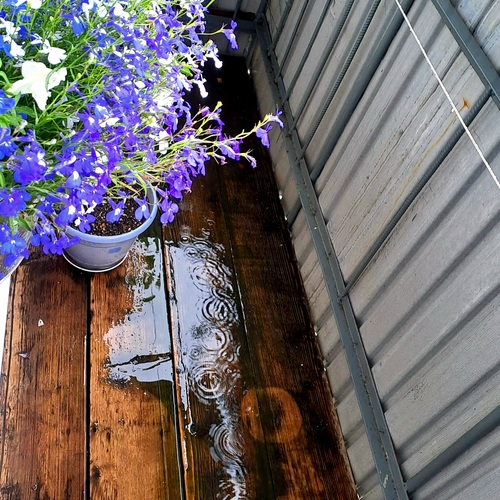 Photo #14072642