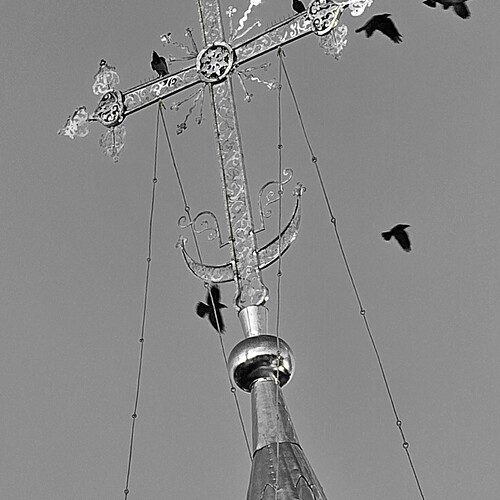 Photo #14072644