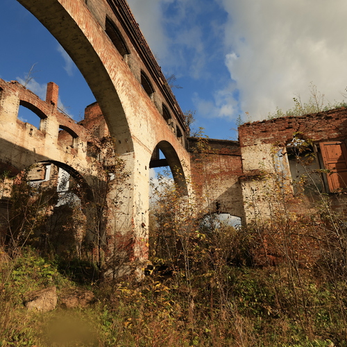 Photo #14072647