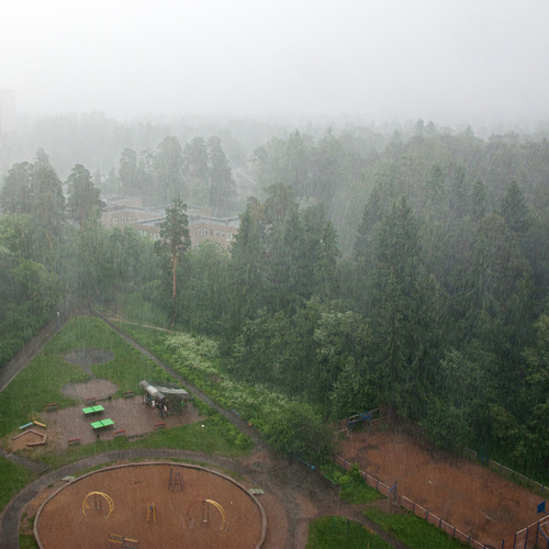 Photo #14072716