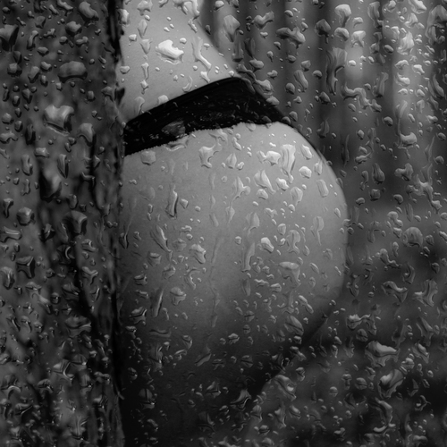 Фотография #14072765