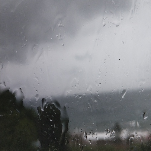 Photo #14072814