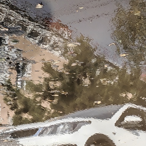 Photo #14072831