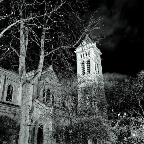 Photo #14072834
