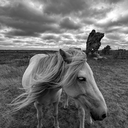 Photo #14072892