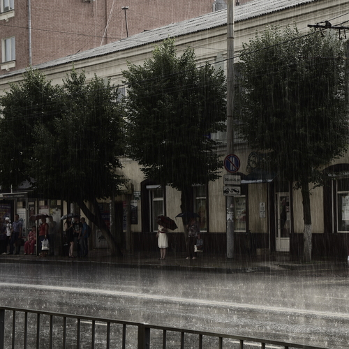 Photo #14072914