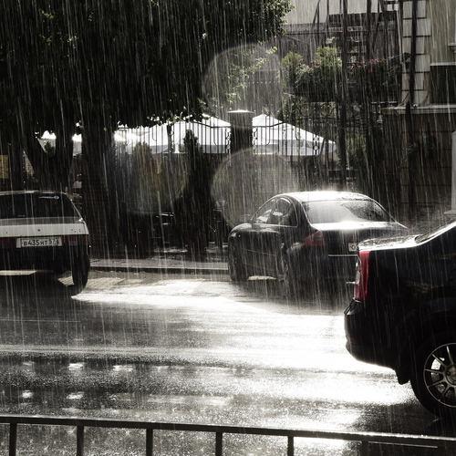 Photo #14072924