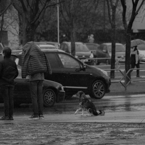 Photo #14072938