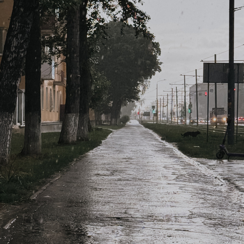 Photo #14072979