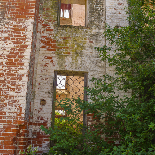 Photo #14073052