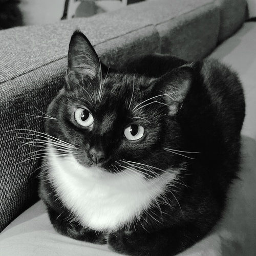 Photo #14073115