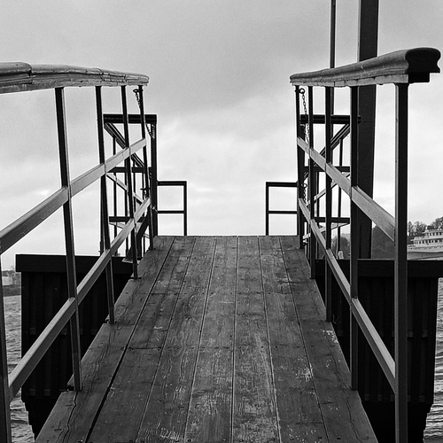 Photo #14073202